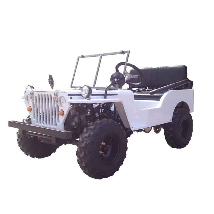 MINI Willy JEEP with 11cc-150cc